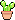 :cactus:
